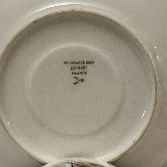 Vintage Raynaud & Co. Limoges Tea Cup and Saucer Pattern Windblown - Picture 6 of 11